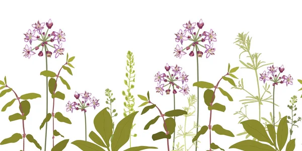 Modello vettoriale floreale senza cuciture, bordo con fiori viola. — Vettoriale Stock