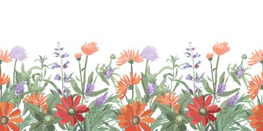 Vector floral seamless border. Summer flowers, herbs, leaves.
