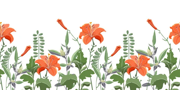Borda floral sem costura vetorial, padrão. Lírios de cor laranja, daylilies, absinto verde, quinoa. — Vetor de Stock