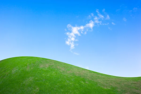 Campo verde e céu azul — Fotografia de Stock