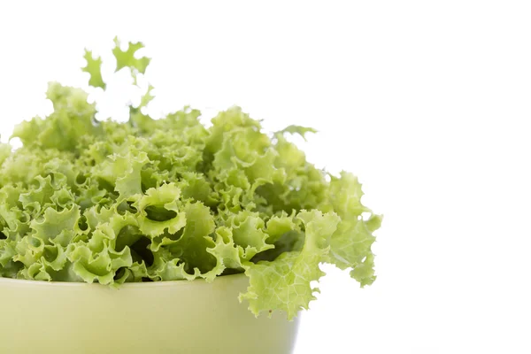 Gemischter frischer Salat — Stockfoto