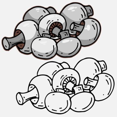 Champignon el çizimi karalama çizimi. Eskiz ve renkli mantar çizimi beyaz arka planda izole edilmiş. Organik vejetaryen ürün. Menü, etiket, ürün paketleme, tarif için harika