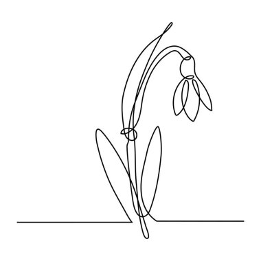 Aralıksız çizim tarzında bahar kar damlası çiçeği. Beyaz arkaplanda siyah çizgisel çizim. Vektör illüstrasyonu