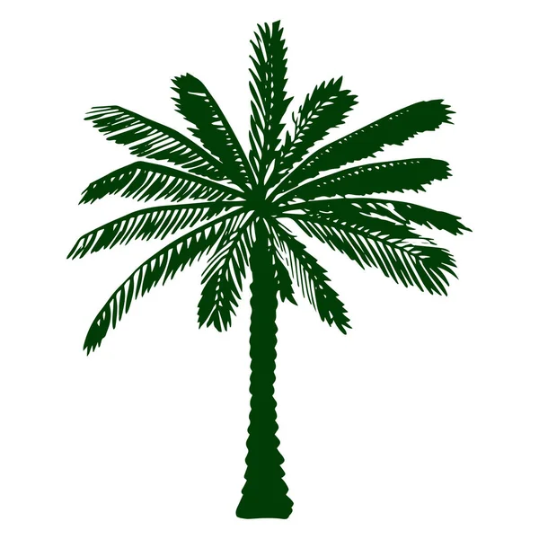 Palmy Kolorowe Sylwetka Doodle — Zdjęcie stockowe