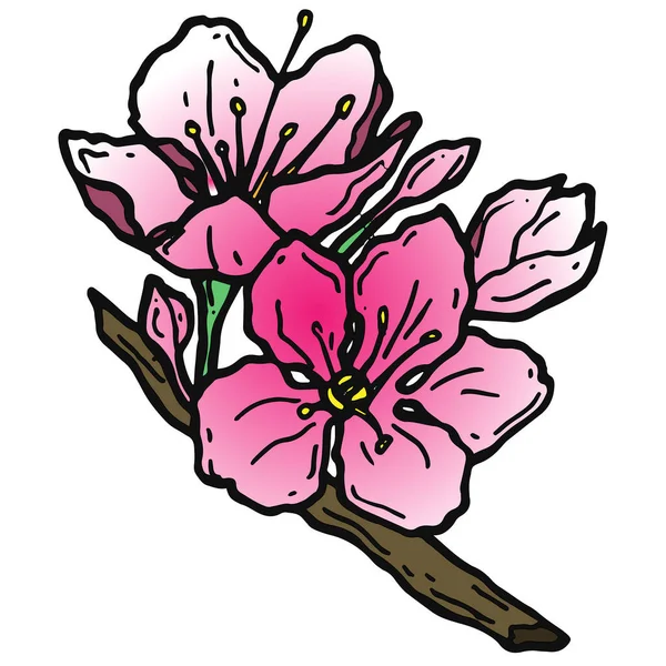 Sakura Blooming Flower Doodle — Stock fotografie