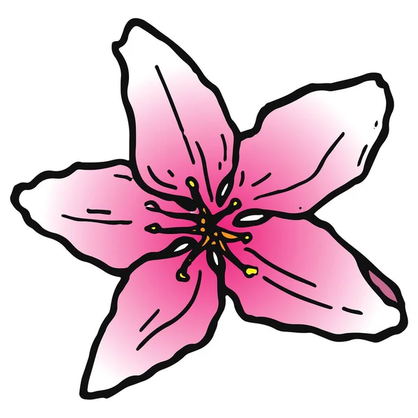 Σακούρα Ανθισμένη Λουλούδι Doodle — Φωτογραφία Αρχείου
