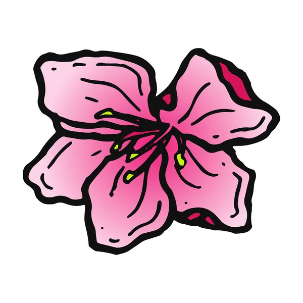 Sakura Blooming Flower Doodle — Stock fotografie
