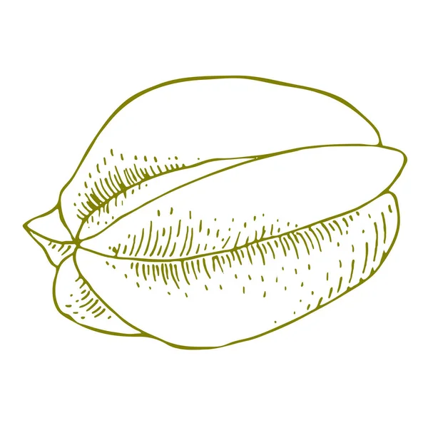 Carambola Outline Image Doodle Style — 图库照片