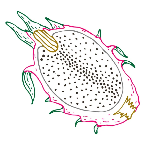 Pitahaya Outline Image Doodle Style — Zdjęcie stockowe