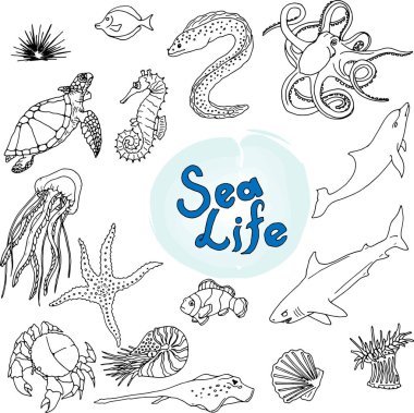 Karalama tarzında el çizimi deniz hayvanları çizimleri.