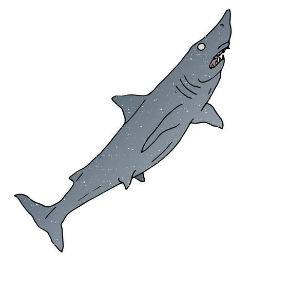 Ilustraciones Tiburón Dibujado Mano Estilo Garabato — Vector de stock
