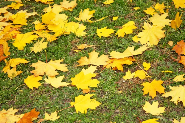 Tiempo de otoño, colores de otoño — Foto de Stock