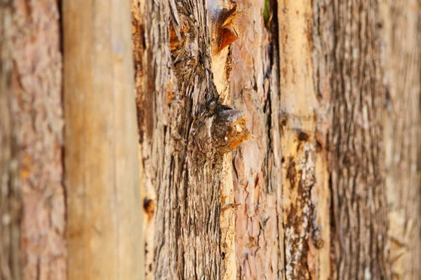 Wooden fence. Timber logs — Stock Photo, Image