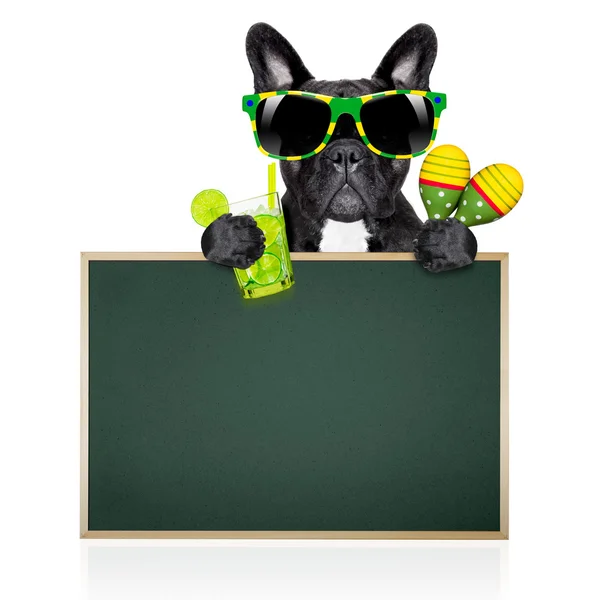Summer cokctail dog — Stock Photo, Image