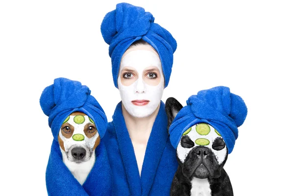 Wellness beauty mask girl and dog — Stock Photo, Image