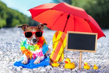 beach dog umbrella clipart