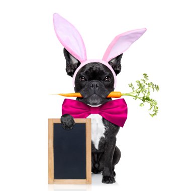 Paskalya Tavşanı Köpek
