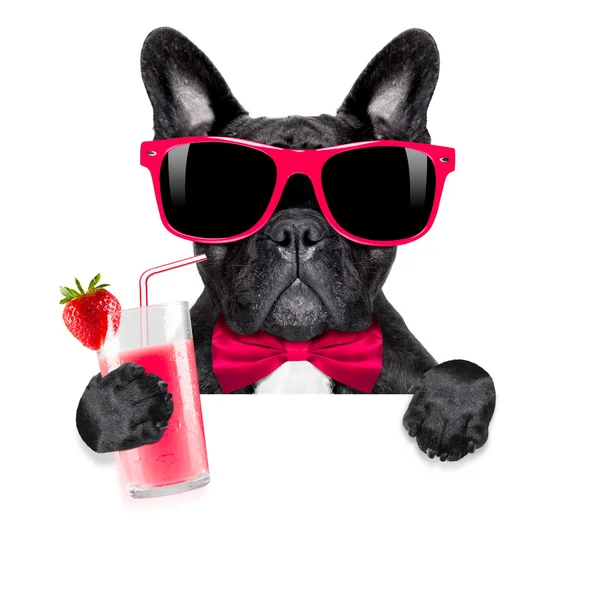 Cocktail Smoothie Dog — Stockfoto