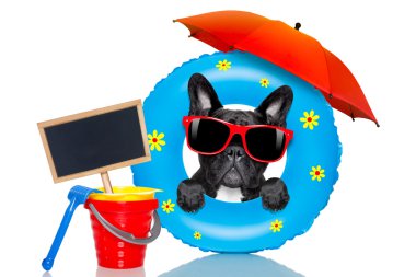Yaz aylarında hava yatağı ile güneşlenme köpek