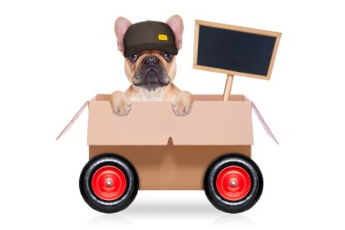 Taşıma kutusu köpek