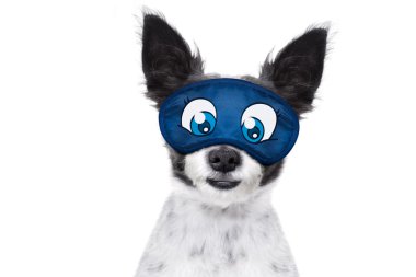 uyku köpek maskesi
