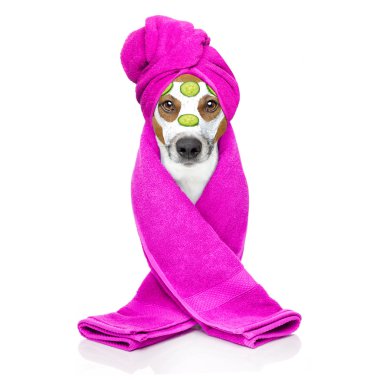 köpek sağlık spa merkezi