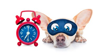 uyku köpek maskesi
