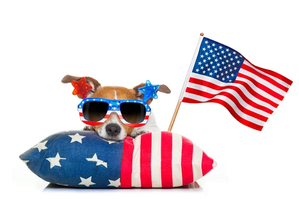 Fourth of july independence day dog Stock Picture