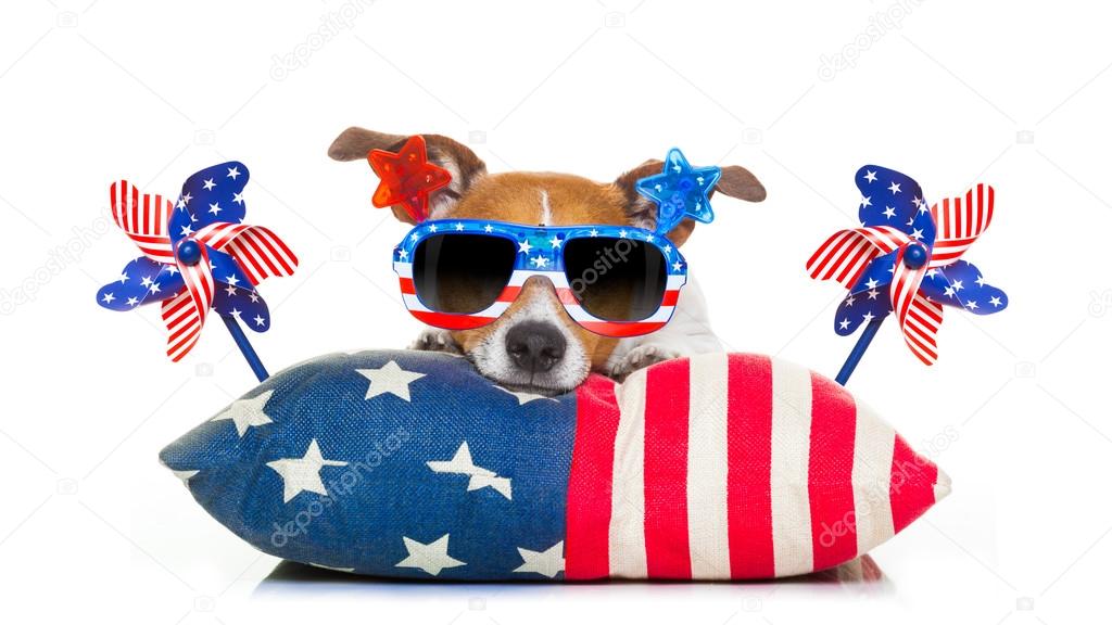 4th of july independence day dog