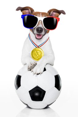 futbol futbol topu köpekle