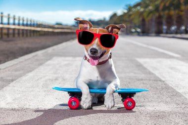 skater dog on skateboard clipart