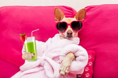 köpek spa sağlık