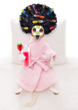 köpek spa sağlık