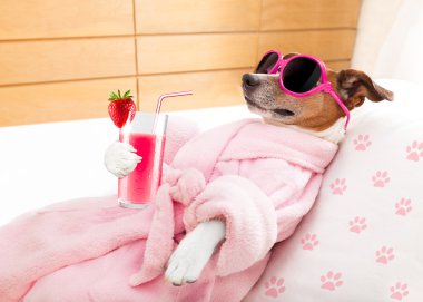 relax spa wellness dog clipart