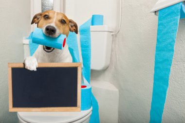 Klozet kapağı üzerinde köpek