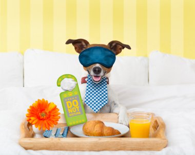 köpek işaretiyle rahatsız etmeyin