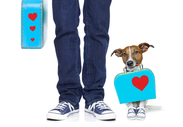 Dog and owner on holiday vacation — Stock Photo, Image