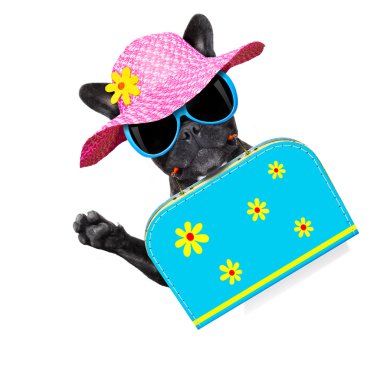 dog on summer  holiday vacation clipart