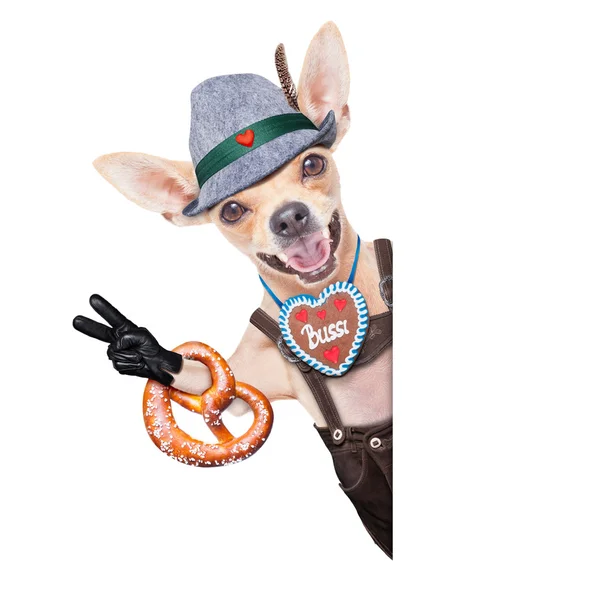 Bavarian beer dog — Stock Photo, Image