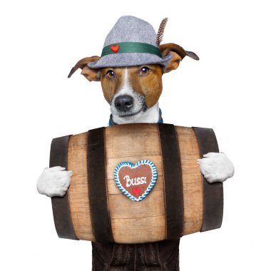 Bavyera bira köpek