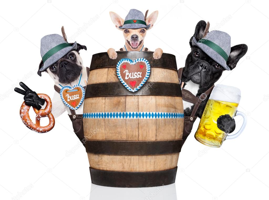 group of bavarian beer dogs 