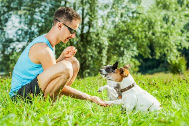 Köpekler ve eğitim sahibi