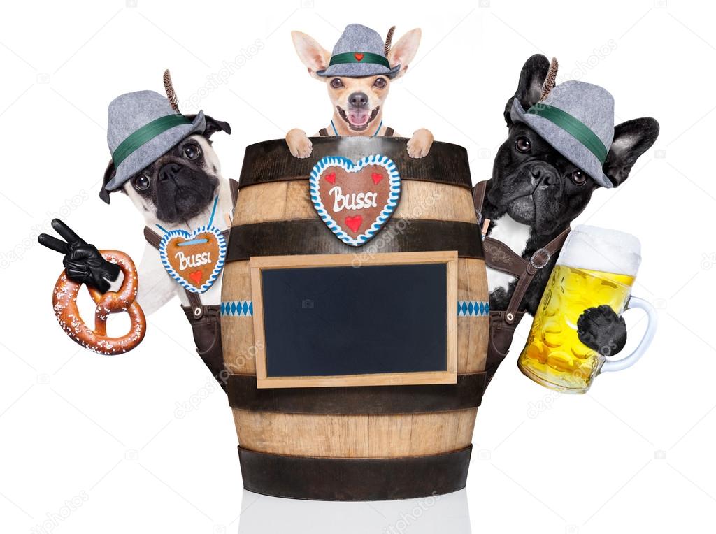 group of bavarian beer dogs 