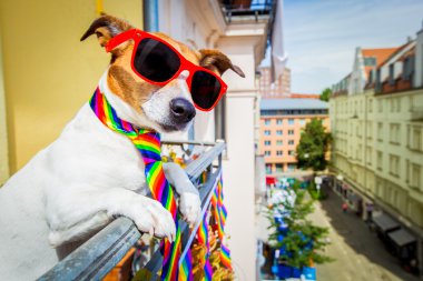 gay pride dog  clipart