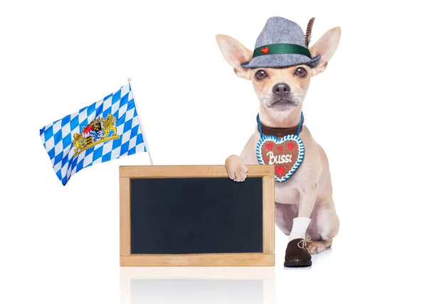 Bavarian beer dog — Stock Photo, Image