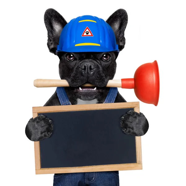 Plumber dog with plunger — Stock Photo, Image