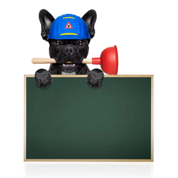 Plumber dog with plunger — Stock Photo, Image
