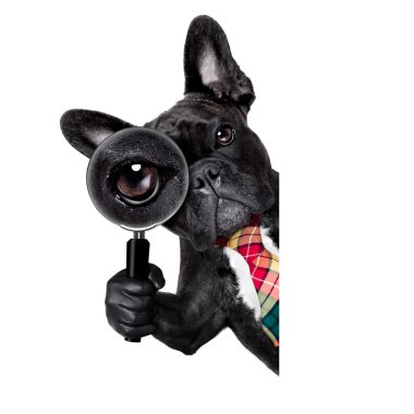 Büyüteç camı köpek