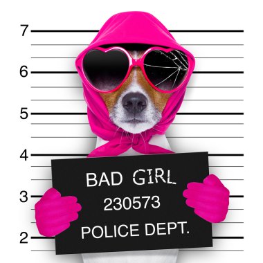 MugShot Bayan köpek 