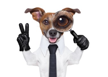 Büyüteç camı köpek